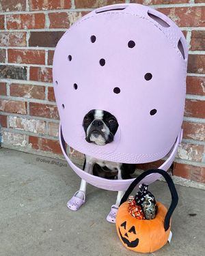 Image post by @crocs on Instagram