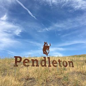 Image post by @pendletonwhisky on Instagram