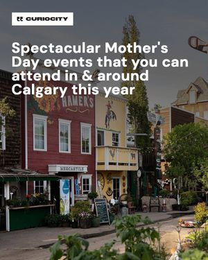 Image post by @curiocitycalgary on Instagram