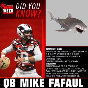 Image post by @jaxsharks on Instagram