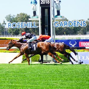 Image post by @australianturfclub on Instagram