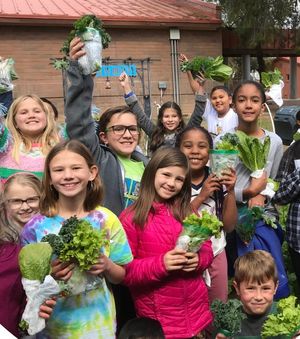 Image post by @kidsgardening on Instagram