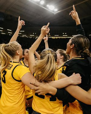 Image post by @iowahawksnest on Instagram