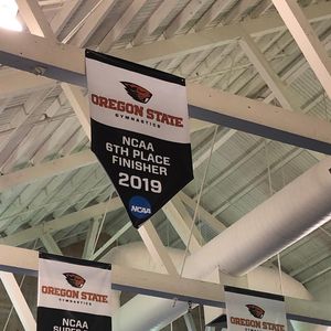 Image post by @beavergym on Instagram