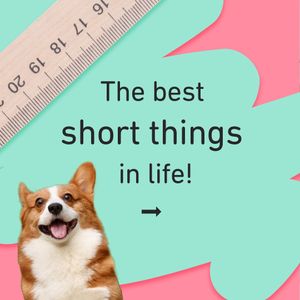 Image post by @wattpad on Instagram