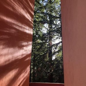 Image post by @ucsc on Instagram