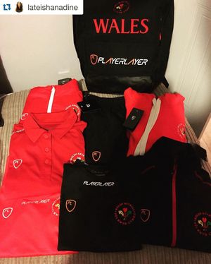 Image post by @walesnetball_ on Instagram
