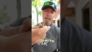 Video post by @barstooloutdoors on YouTube