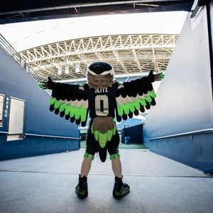 Image post by @blitztheseahawk on Instagram