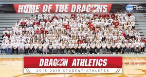 Image post by @msumdragons on Instagram