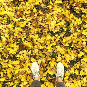 Image post by @sophieb on Instagram