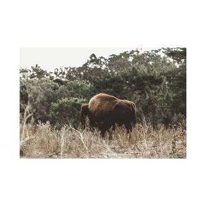 Image post by @martemedia on Instagram