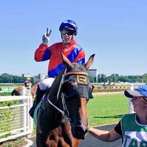 Image post by @australianturfclub on Instagram