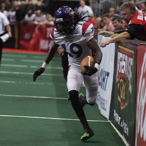 Image post by @jaxsharks on Instagram