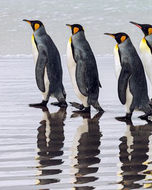 Image post by @natgeo on Instagram