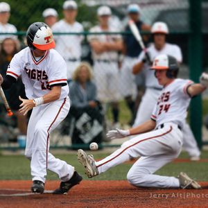 Image post by @rawlingstigers on Instagram