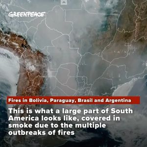 Image post by @greenpeace on Instagram