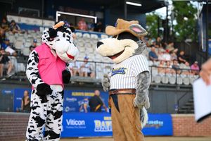 Image post by @brisbanebandits on Instagram
