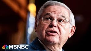 Video post by @msnbc on YouTube