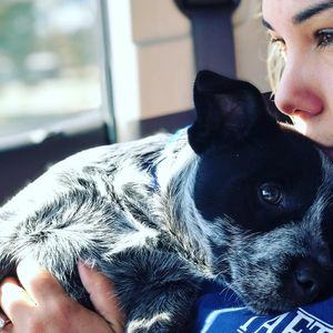 Image post by @actually_itsaislinn on Instagram