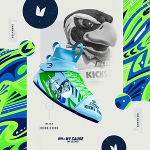 Image post by @blitztheseahawk on Instagram