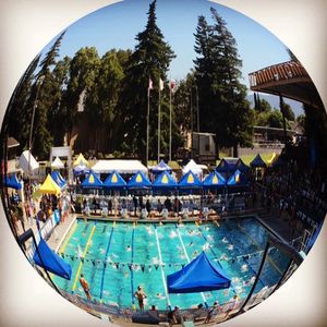 Image post by @arenausa on Instagram