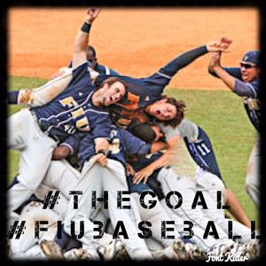 Image post by @fiu.baseball on Instagram