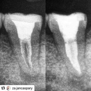 Image post by @ripeglobal on Instagram