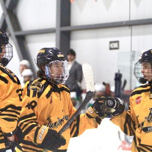 Image post by @usphlhockey on Instagram