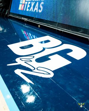 Image post by @dallaswings on Twitter