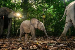 Image post by @natgeo on Instagram