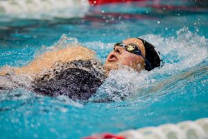 Image post by @gcu_swimdive on Instagram