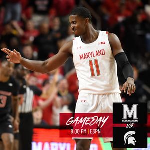 Image post by @terrapinhoops on Instagram