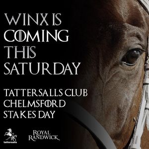 Image post by @australianturfclub on Instagram