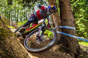 Image post by @finniles on Instagram