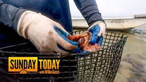 Video post by @today on YouTube