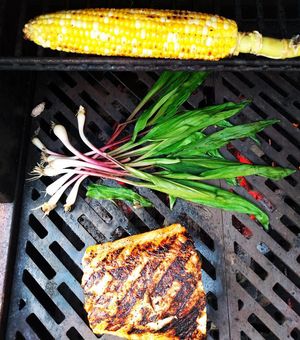 Image post by @kalamazoogrills on Instagram