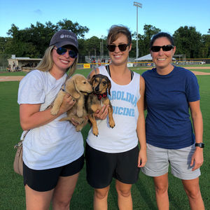 Image post by @ilmsharks on Instagram