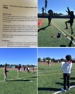 Image post by @palma_school on Instagram