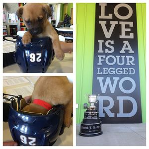 Image post by @swamprabbits on Instagram