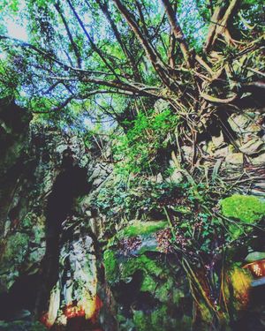 Image post by @mmhammond on Instagram