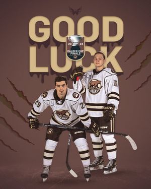 Image post by @Capitals on Twitter