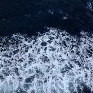 Image post by @amelianneabbott on Instagram
