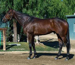 Image post by @spendthriftfarm on Instagram