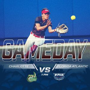 Image post by @fausoftball on Instagram