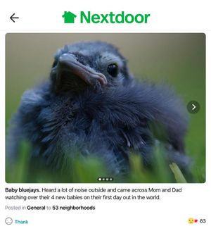 Image post by @nextdoor on Instagram
