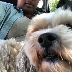 Image post by @ImaniTahira on Twitter
