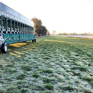 Image post by @australianturfclub on Instagram