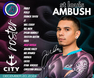 Image post by @stlouisambush on Instagram