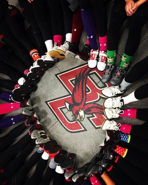 Image post by @bc_softball on Instagram